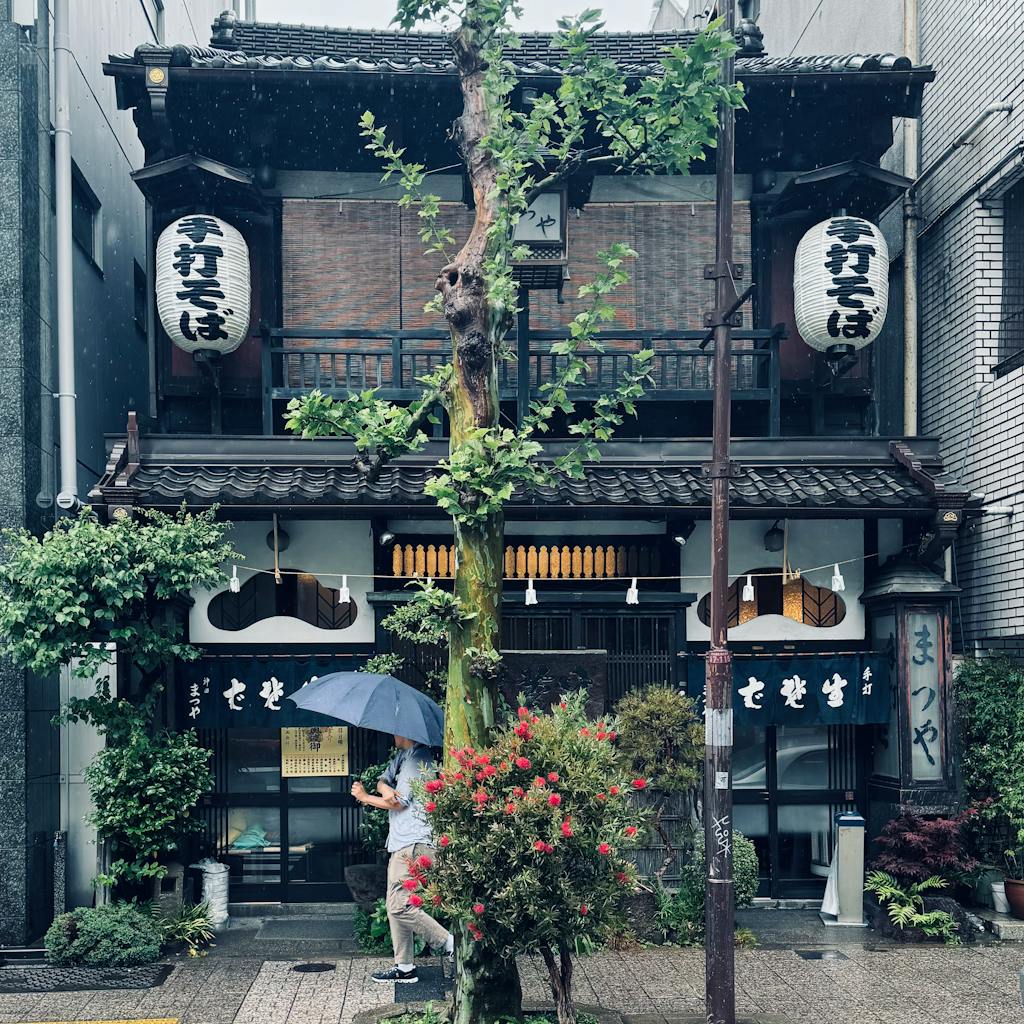 Tokyo layover