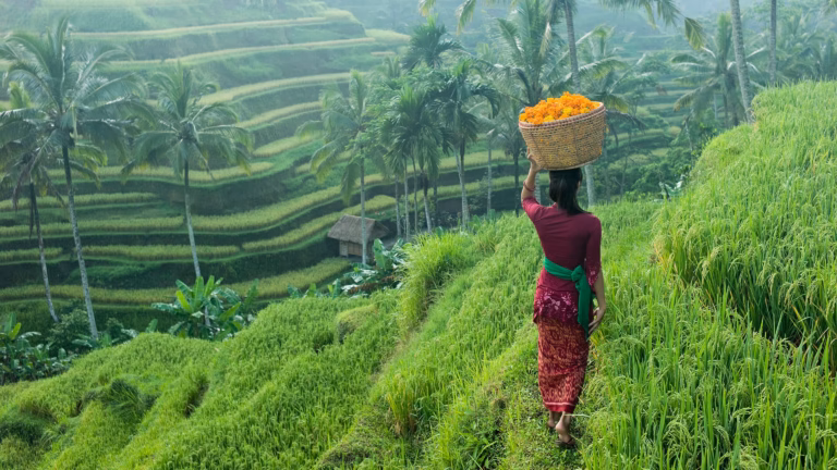 Why a Bali Layover Might Ruin Every Other Connection for You